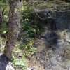 Mariazell_Weng_Admont_Ennstal_106